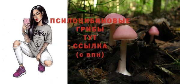 гидропоника Балабаново