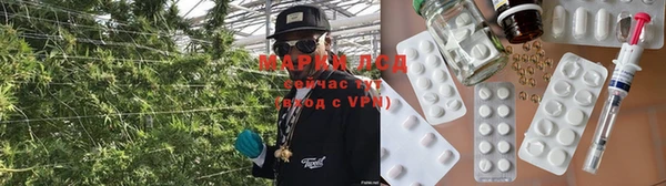 мяу мяу мука Балахна