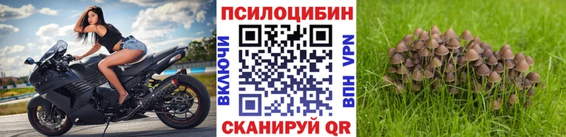 Галлюциногенные грибы мицелий  Беслан 